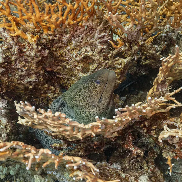 sharm: immagine della destinazione